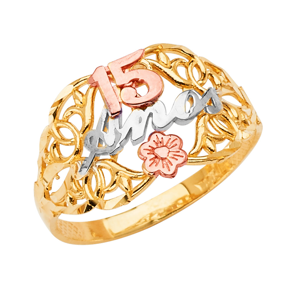 Fancy Rings - 14K Gold - RG2688