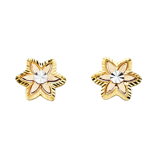 Assorted Earrings with Push Back - 14K Gold - ER1353