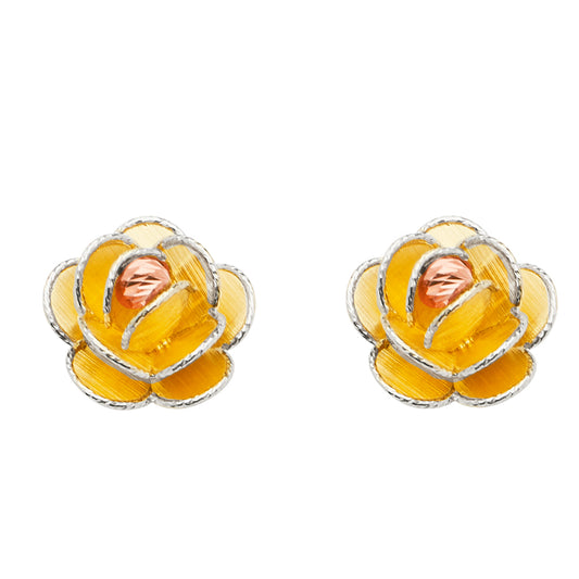 Assorted Earrings with Push Back - 14K Gold - ER1668