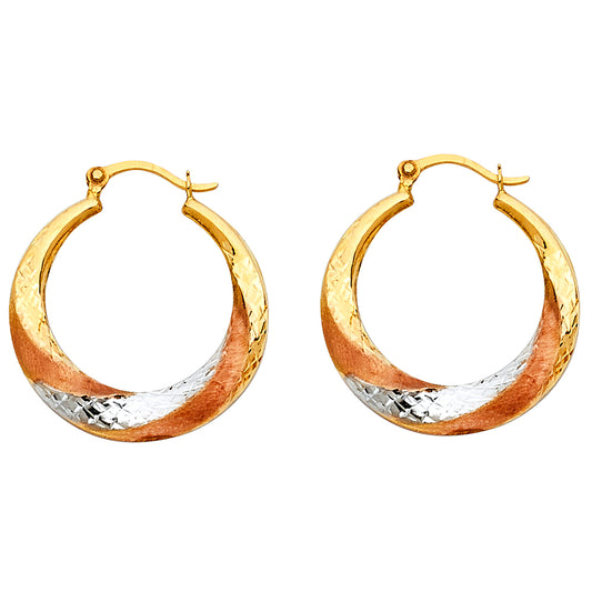 Hollow Fancy Earrings - 14K Gold - ER792