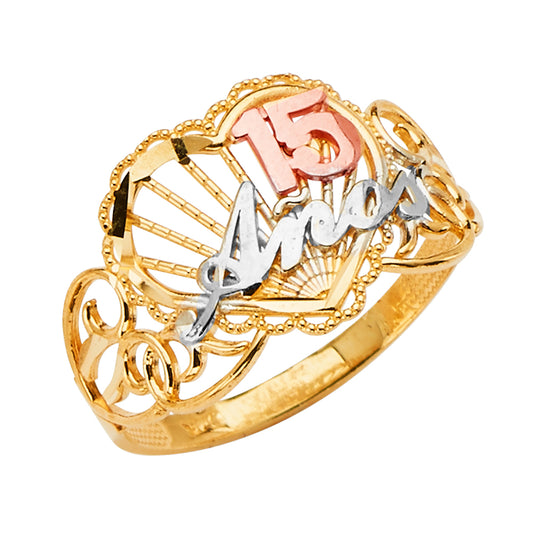 Fancy Rings - 14K Gold - RG2678